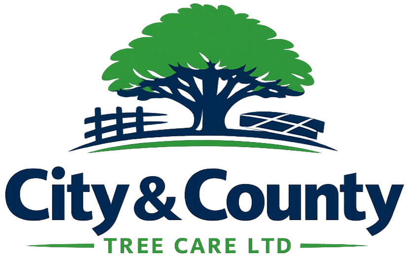 City & County Tree Care Ltd